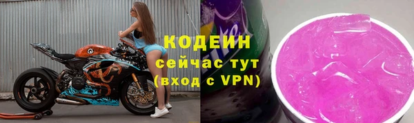 молекула духа Ельня