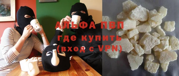 сатива Абинск