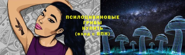сатива Абинск