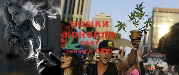 сатива Абинск
