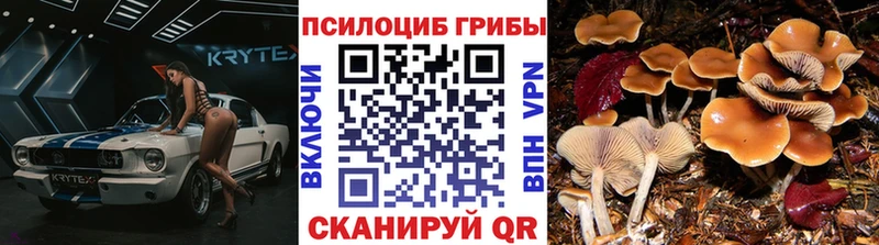 Псилоцибиновые грибы прущие грибы  как найти закладки  Александровск 